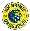 Grosuplje logo