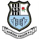 Bamber Bridge logo