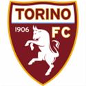 Torino U19 logo